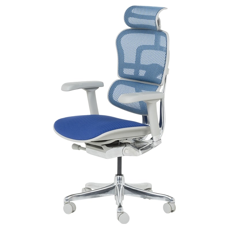 Ергономичен офис стол Ergohuman Elite 2 син-сив